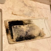 Photo submitted by lele