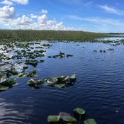 Photo submitted by Zulika