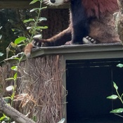 Photo submitted by Alita