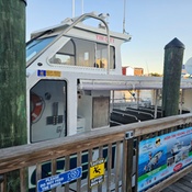 Photo submitted by Ann