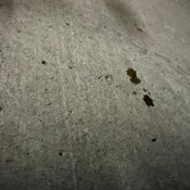 Photo submitted by Robert