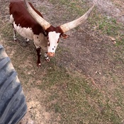 Photo submitted by Kameron