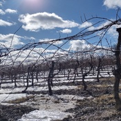 Photo submitted by Silaidiv