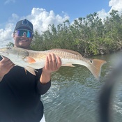 Photo submitted by Guest