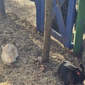 Photo submitted by matthew