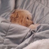 Photo submitted by Julia