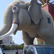 Photo submitted by Mayuli