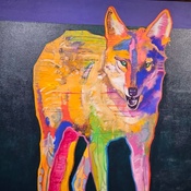 Photo submitted by Carolyn