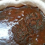 Photo submitted by Apiffany