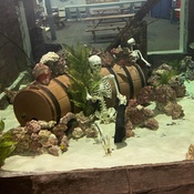 Photo submitted by Tisa