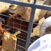 Photo submitted by Mz.