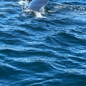 Photo submitted by Francie