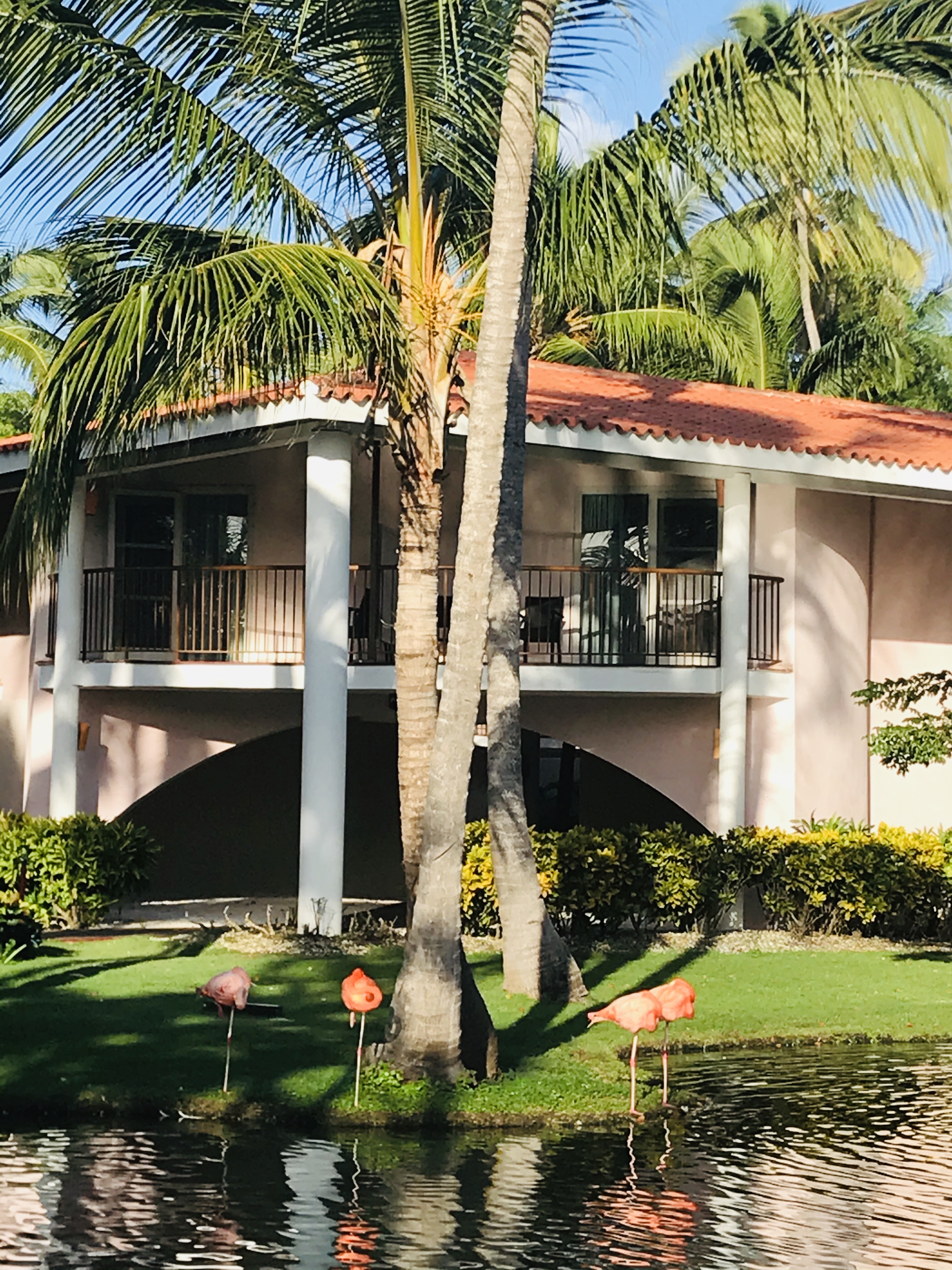 thatch umbrella walmart on All Inclusive Barcelo Aruba Stay With Air From Vacation Express In Noord Aw Groupon Getaways