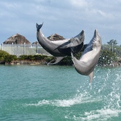 Photo submitted by Brian