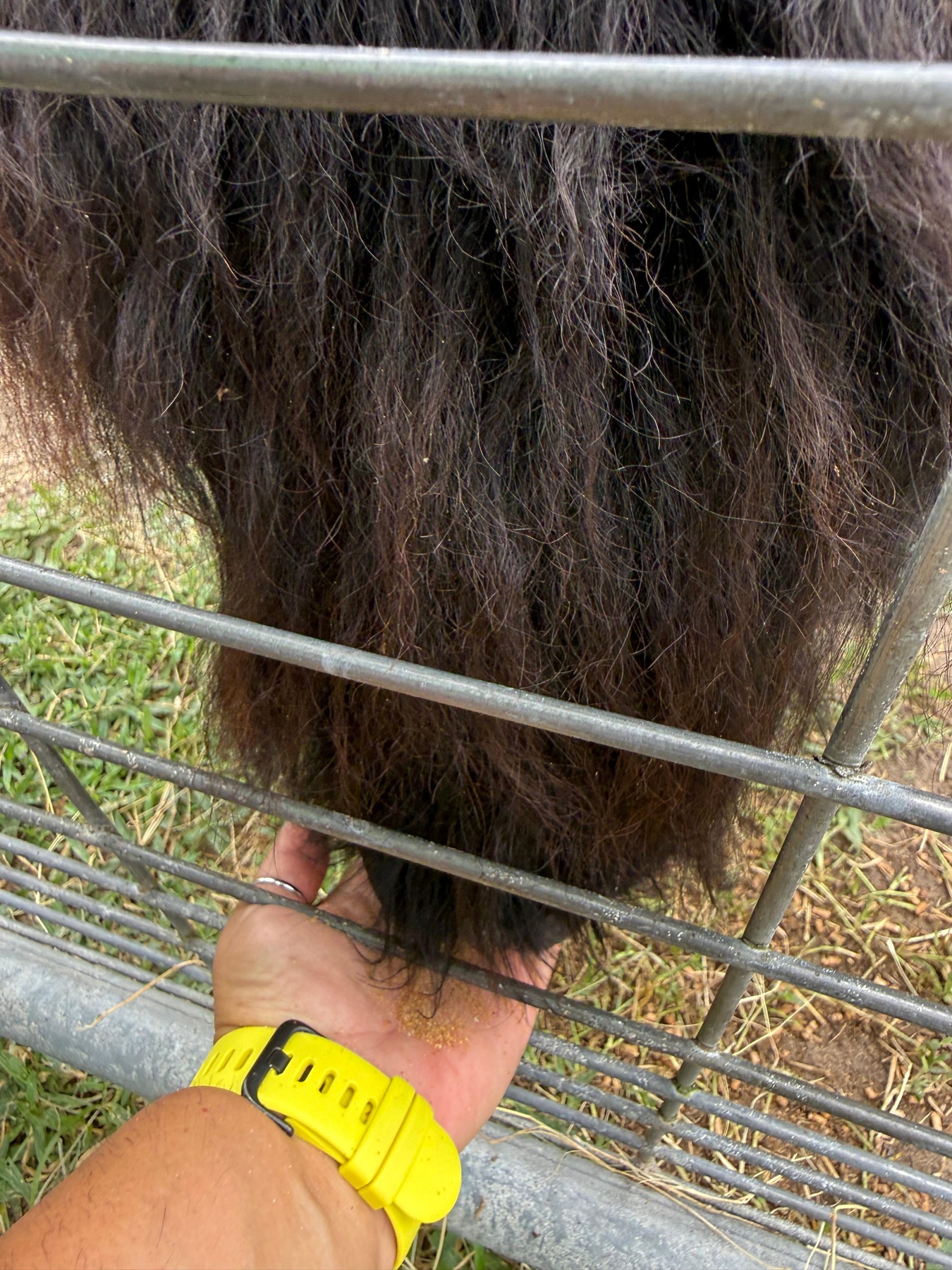 HarvestMoon Fun Farm - From $26.10 - Brooksville | Groupon
