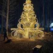 Photo submitted by Guest