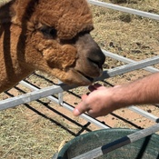 Photo submitted by Joline