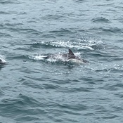 Photo submitted by Gail