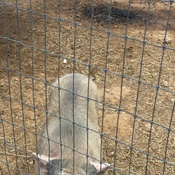 Photo submitted by TeAira