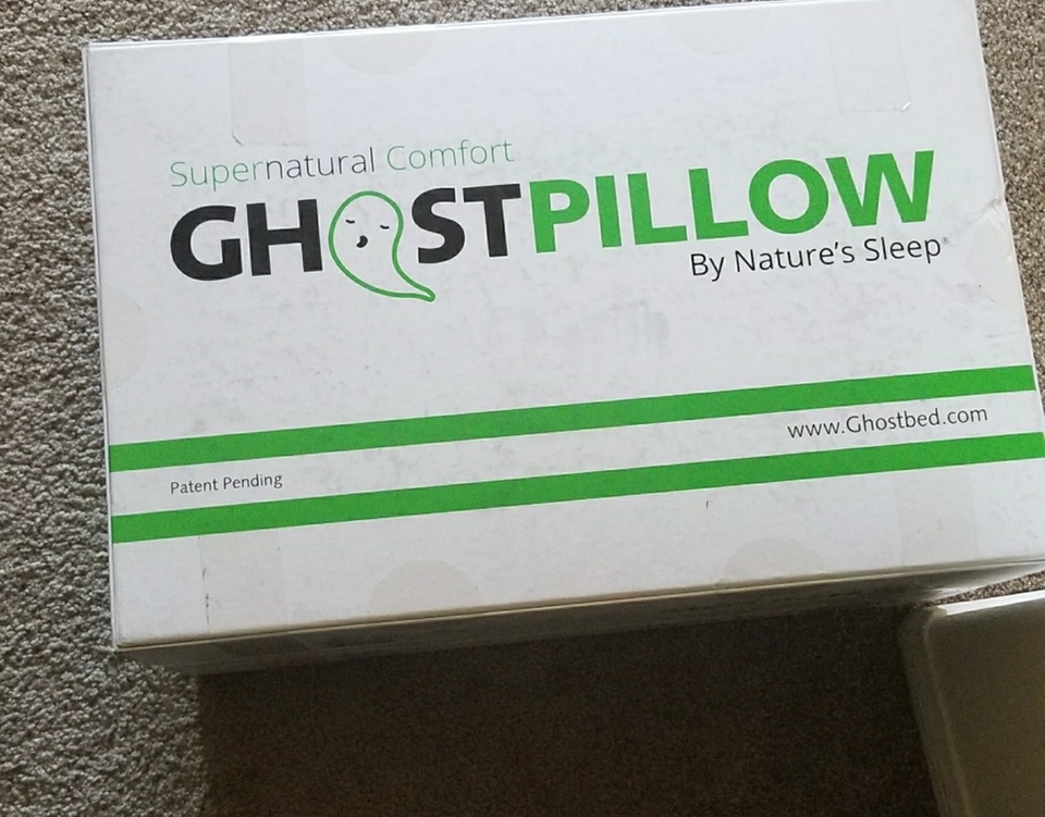 Ghost shop pillow groupon