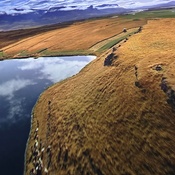 Photo submitted by Alexis