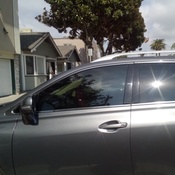 Photo submitted by Mel