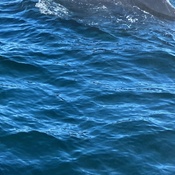 Photo submitted by Francie