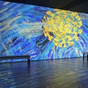 Photo submitted by Maxine