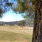 Photo submitted by John