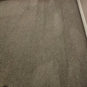 Photo submitted by Pete