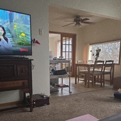 Photo submitted by Sara