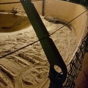 Photo submitted by Merlande