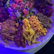 Photo submitted by Kelly