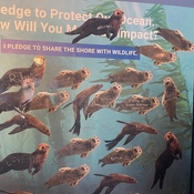 Photo submitted by Lydia