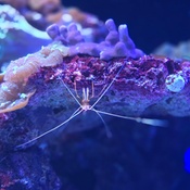 Photo submitted by Mercedes