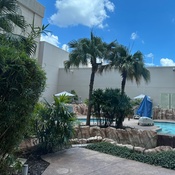 Photo submitted by Katie