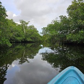 Photo submitted by Sebastian