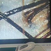 Photo submitted by Amber