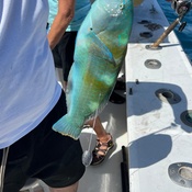 Photo submitted by Moe