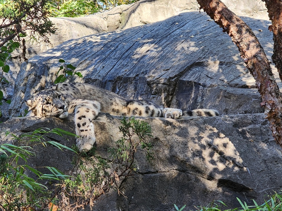 Central park store zoo groupon