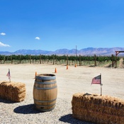 Photo submitted by deidre