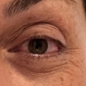 Photo submitted by Anahita