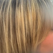 Photo submitted by Jessica