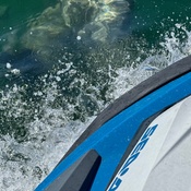 Photo submitted by Ryan