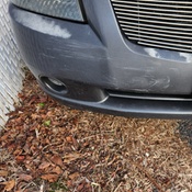 Photo submitted by Brian