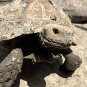 Photo submitted by Michelle