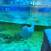 Photo submitted by Guest