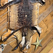 Photo submitted by Tonisha