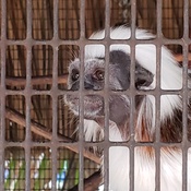 Photo submitted by Shauna