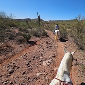 Photo submitted by Joanna